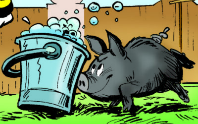 Minigrisen Tom er verdens snilleste gris